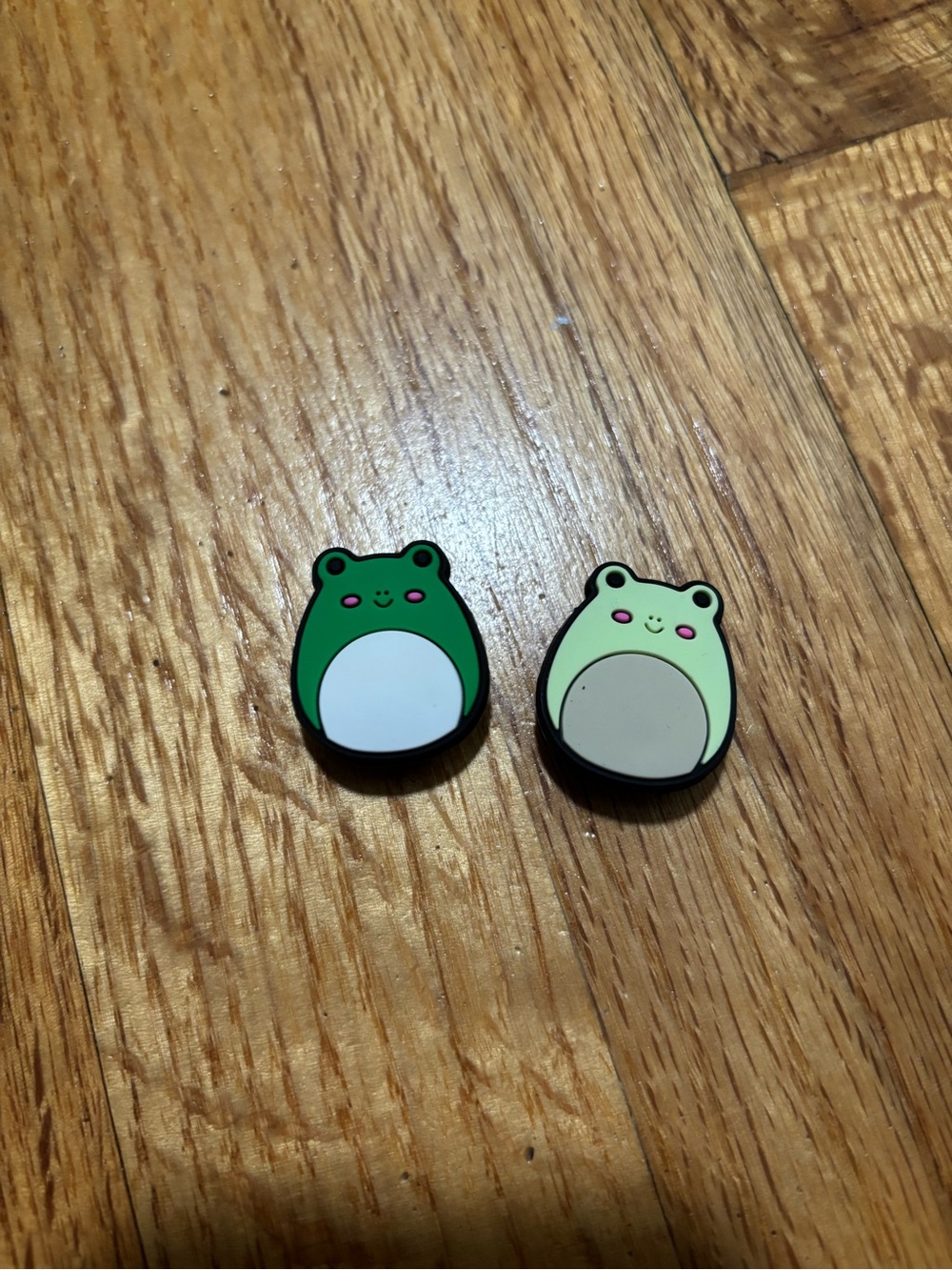 2 pack frog croc charms